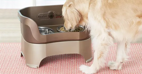 Elevate Your Decor and Your Dog’s Mealtime with Single Elevated Dog Bowls